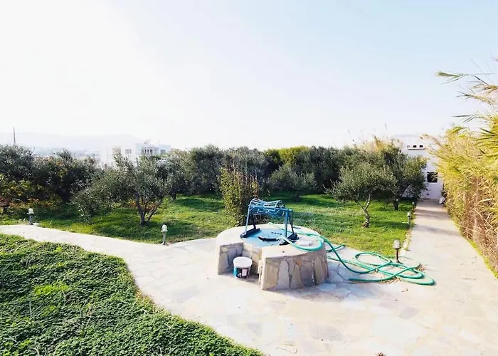 Seafront House Irini Casa vacanze Naoussa